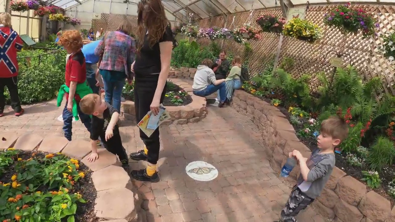 RDS5E14 Mackinac Island Butterfly House