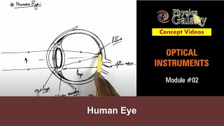 Class 12 Physics | Optical Instruments | #2 Human Eye | For JEE & NEET