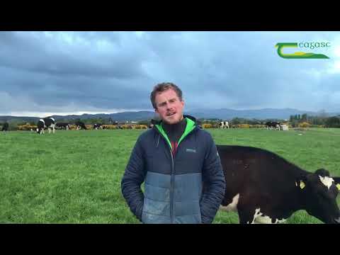 Oisín Gallen - Dairy New Entrant