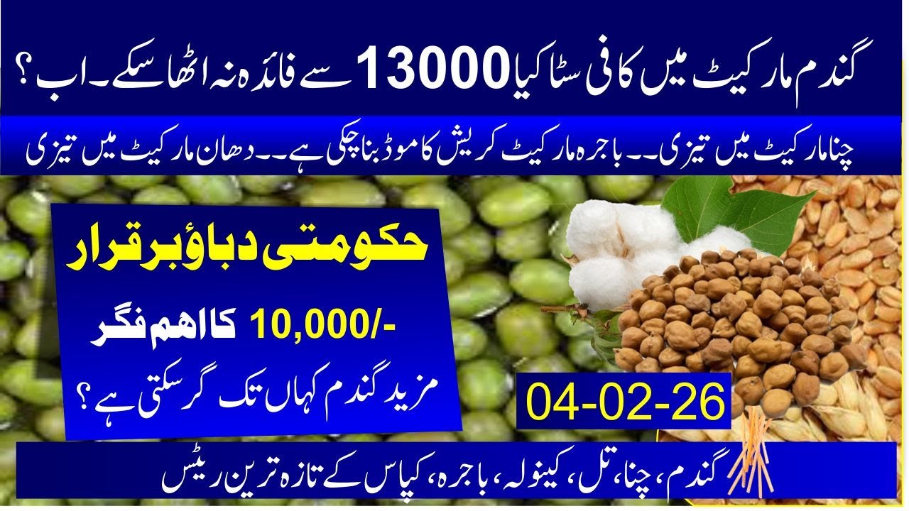 Today Wheat new rate in Punjab, kpk, Karachi | Dhan market today | Guar price pak vs india | Moong