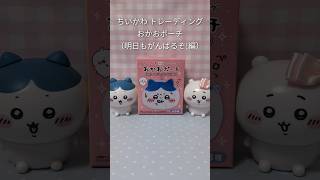 ちいかわ トレーディング おかおポーチ（明日もがんばるぞ!編