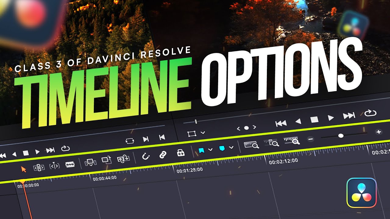 Timeline settings in davinci resolve 18 5 class 3 urdu hindi one