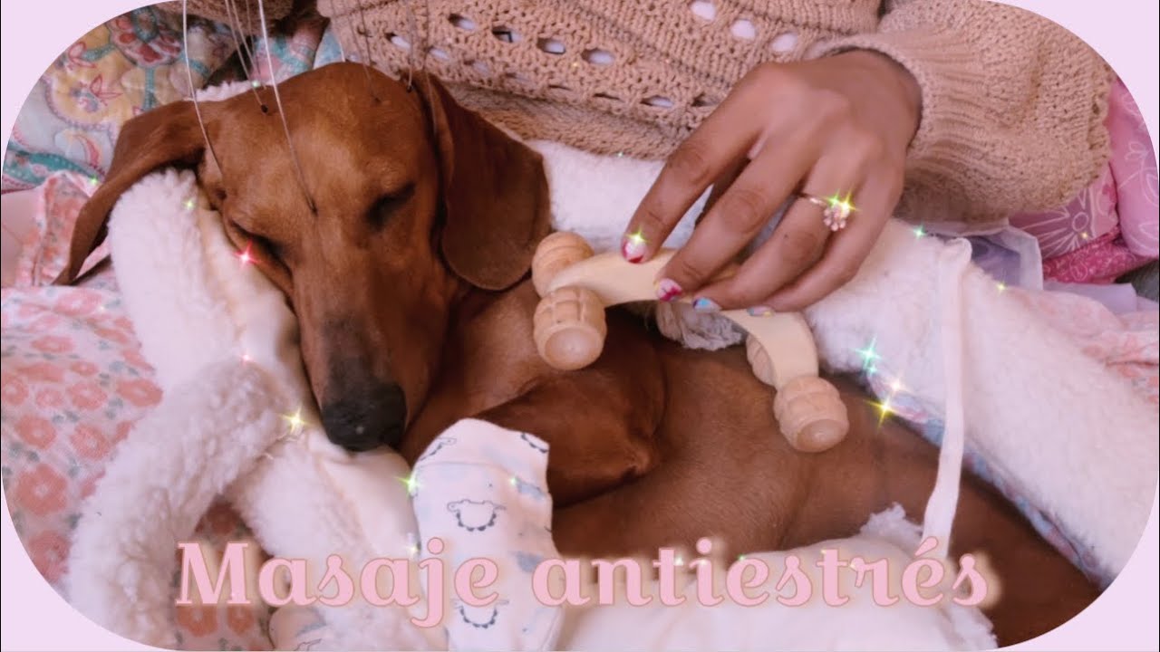 ASMR | 💆🏻‍♀️🎀 MASAJE ANTIESTRES SUPER RELAJANTE | RELAXING MASSAGE