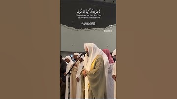 ما تيسر من سورة الأنعام | للقارئ هيثم الدخين #اكسبلور #المصحف