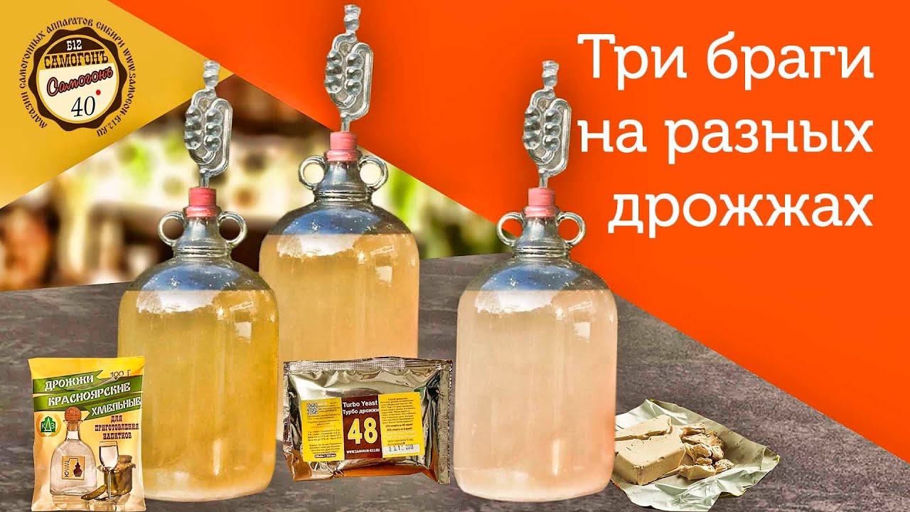 Интернет Магазин Брага Бай