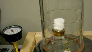 marshmallow's in the vacuum chamber