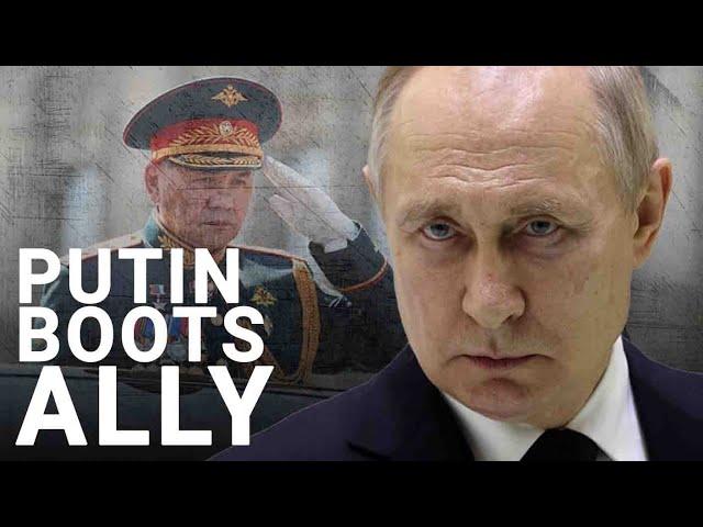 Putin sacks Shoigu for all of Russia 'battlefield failures' in Ukraine | RUSI’s Natia Seskuria class=