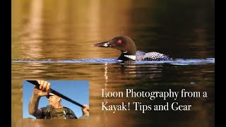 Wildlife Photography - Using a Kayak for Loon Photography
