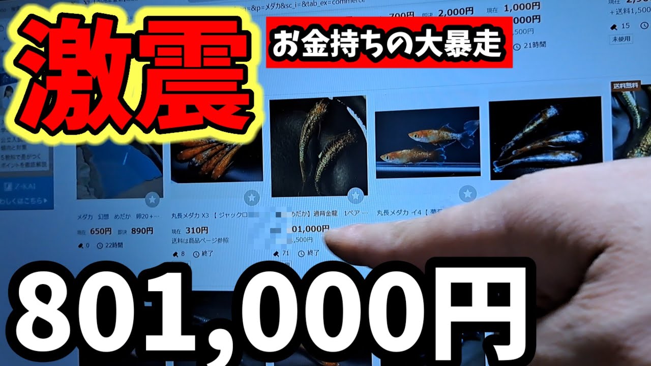 Shocking [801,000 yen!?] The true story of finding a pair of super
