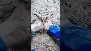 Download Lagu Dan pada akhirnya Turun Hujan membasahi bumi ini #shorts #dangdutkoplo #dangdut #masukberanda #song MP3