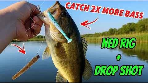 Fishing The Ultimate Finesse Rig For AGGRESSIVE Fall Bass (Ned Rig Drop Shot Combo)