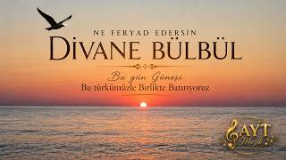 Ne Feryad Edersin Divane Bülbül (Geleneksel Yönteme Modern Yorum) #neferyadedersin #türkü #modern