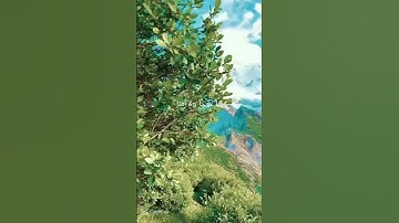 سورة طه بصوت القارئ عبدالله باعزيز