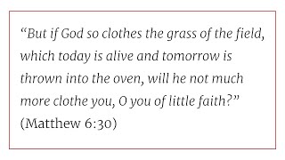 Solid Joys (November 4): The Real Problem with Anxiety // Devotional by John Piper