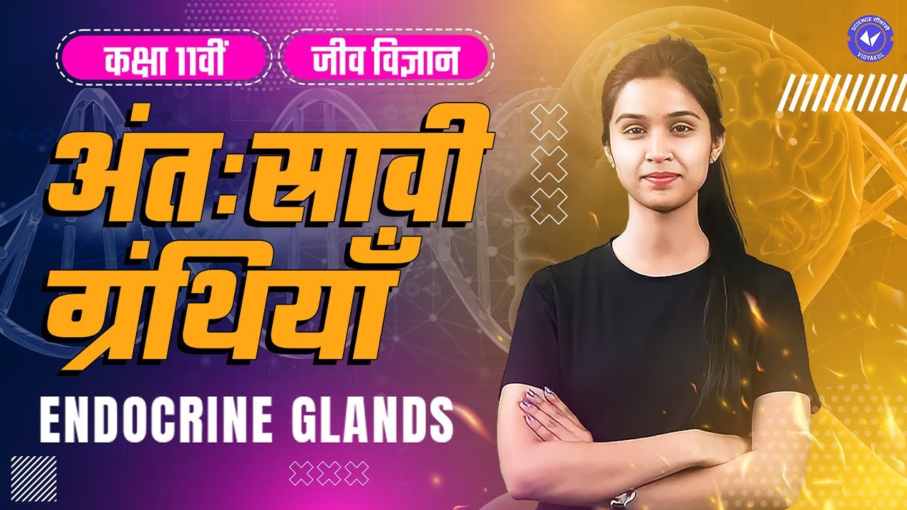 अंतःस्रावी ग्रंथियाँ (Endocrine Glands) | Class 11th Biology by Shalini Maam