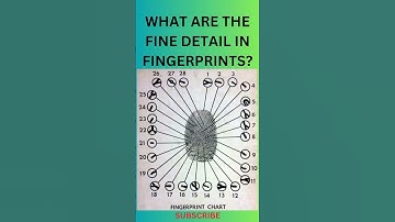 WHAT ARE THE FINE DETAIL IN FINGERPRINTS? #find #riddle #shorts