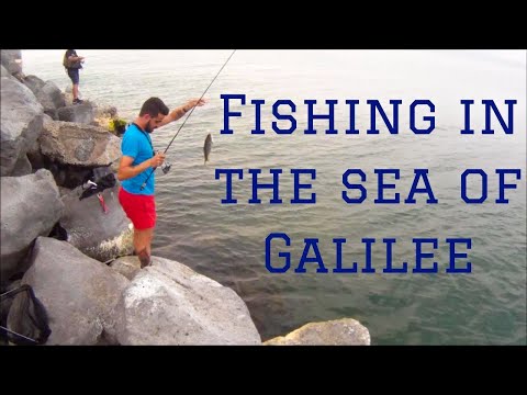 Fishing in The Sea of Galilee, July 2017 | דיג בכנרת