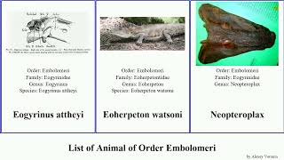 List of Animal of Order Embolomeri cornutus Eogyrinus Diplovertebron Pholiderpeton Gallagher Jesse