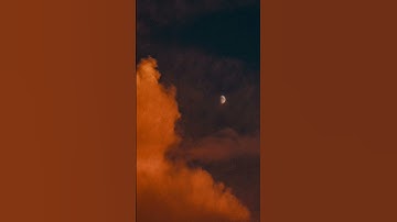 سورة الدخان الآيات من 43 الي 49    الشيخ ياسر الدوسري حفظه الله - 1425 ه‍