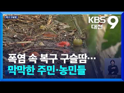 폭염 속 복구 구슬땀…막막한 주민·농민들 / KBS  2026.07.10.