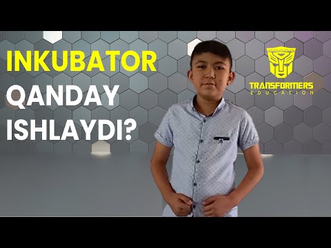 Video: Inkubator Qanday Ishlaydi