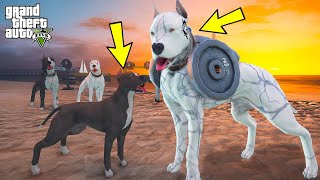 YAVRU PİTBULL ABİSİ MİKE'IN KASLI HALİNİ GÖRÜYOR!(ÇOK KORKTU!) - GTA 5