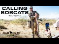 Calling Bobcats in Arizona! | The Last Stand S5:E9