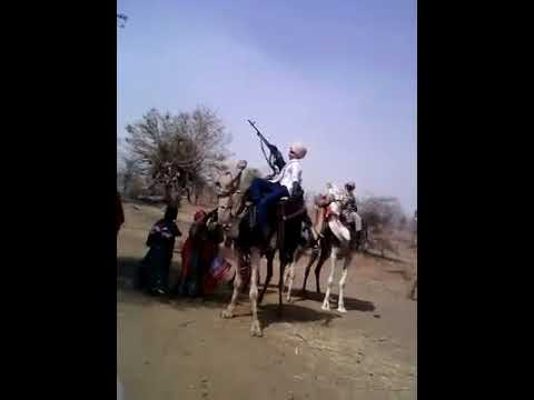 ضرب نار في الاعراس