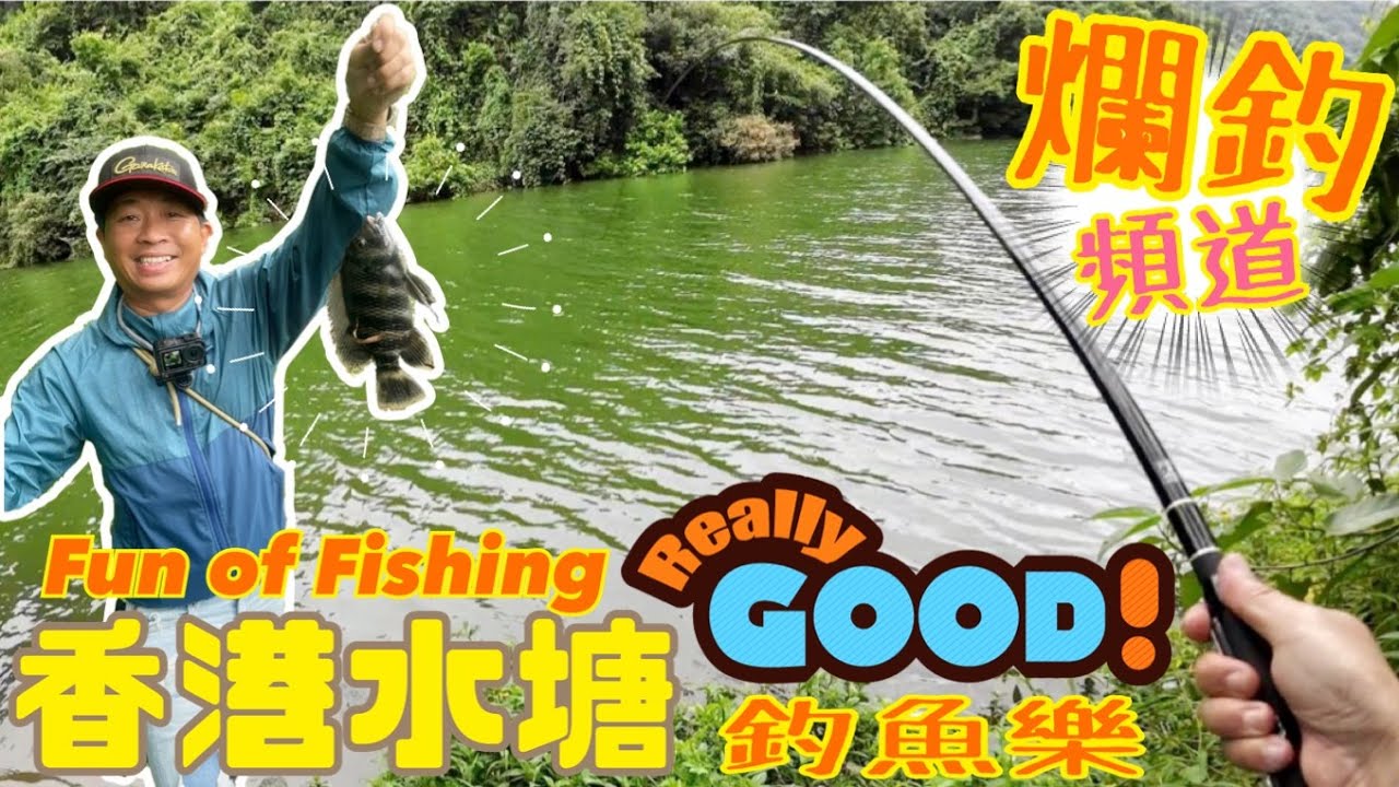 【爛釣頻道】香港水塘┃釣魚樂┃船灣淡水湖┃水塘釣魚新體驗┃#釣魚 #香港釣魚 #fishing #4K
