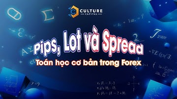 Hiểu Rõ Pips, Lot và Spread: Nắm Rõ Toán Học Cơ Bản Trong Forex Cùng CCL
