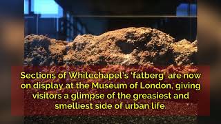 UNITED KINGDOM London's 'fatberg' moves from sewer to museum - Politik Deutschland