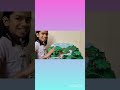 Forest Model for school projects. / Navyashree. #ForestModel #LowbudgetForestModel