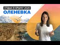 Оленевка 2020. Тарханкут. Цены на отдых. Прогулка на катере, купание в чаше любви. Крым - чудо света