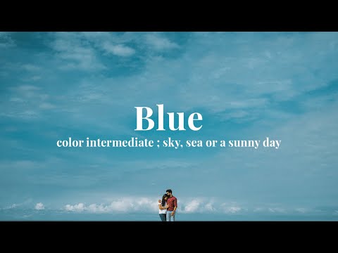 Blue - color intermediate | Eldhose - Leenu | A Wedding Film by Absolutely Knot - Bonafide Weddings