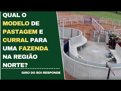 QUAL O MODELO DE PASTAGEM E CURRAL PARA UMA FAZENDA NA REGIÃO NORTE?