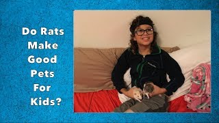 Do Rats Make Good Pets For Kids? (Informal)