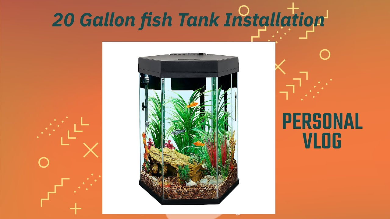 My New Fish Tank Installation YouTube