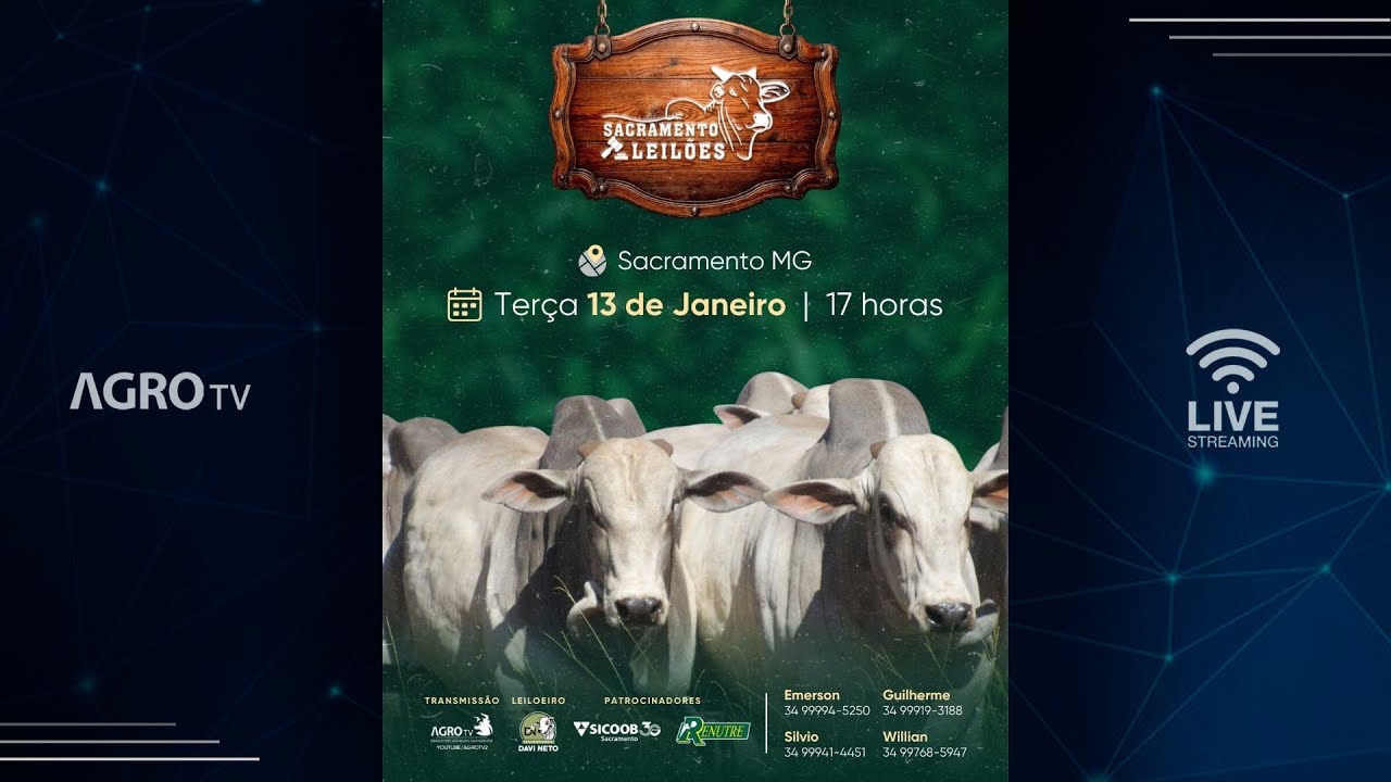 SACRAMENTO LEILÕES - 13/01/2026