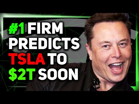 Karpathy on AI Compute / CEO's Admit Tesla Is Way Ahead / Elon's Lawyer Goes Off
