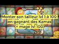 Dofus retro monter son mtier tailleur 1  100 en gagnant des kamas  mage lvl 100