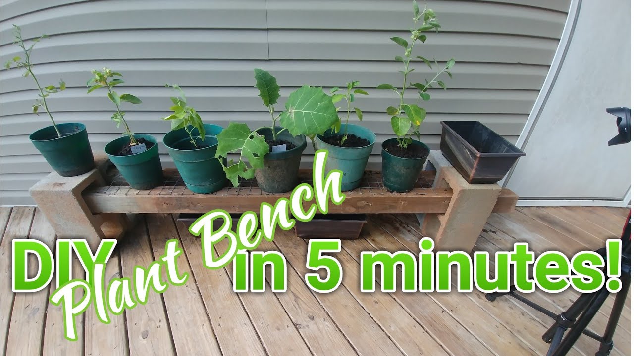 DIY Plant Bench 5 Minutes Garden Project Free and Frugal YouTube