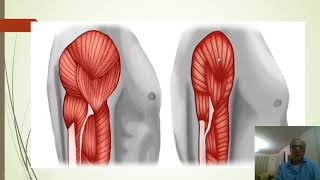 ATROFIA MUSCULAR