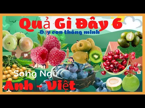 Video Quả Gì Đây 6 - Dạy Bé Học các loại cây, quả ăn chín... - youtube