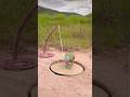 Simple Parrot Trap, working 100% #shorts #youtubeshorts #viral