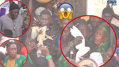 Départ Pokola Baldé très mystérieux avec sa mère Coumba » Pathé balde limou déff….