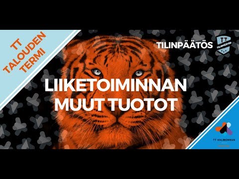 Video: Yrityksen Käyttöomaisuuden Syöttäminen