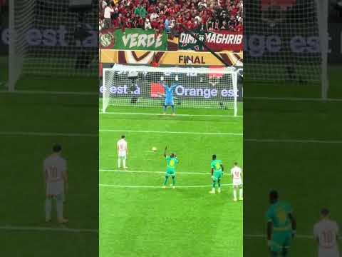 ضاع حلم أمة