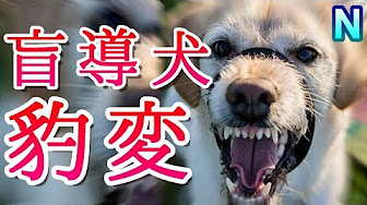 Back Undefined Skip Navigation Search Search Sign In Undefined Home Home Explore Explore Subscriptions Subscriptions Library Library History History Play All ジーンとする心温まる話ほっこりする話 泣ける感動部屋 77 Videos 998 Views Last