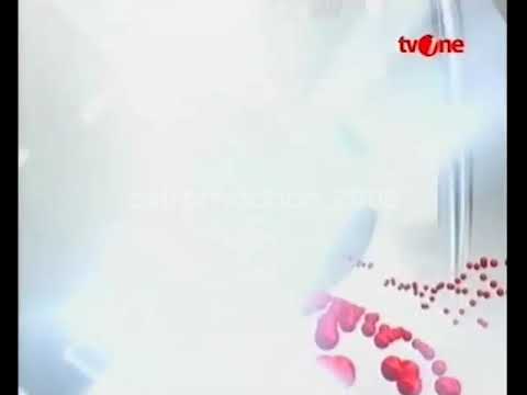 tvOne | OBB Kabar Petang (2010)