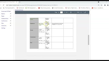 How to Complete the 24 Hour Nutrient Intake Template Module 4